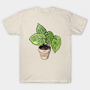 Caladium Plants T-Shirt